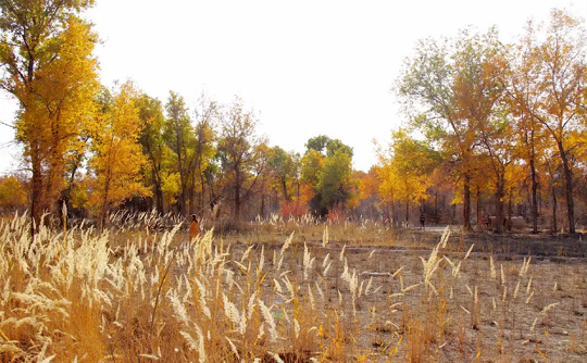 1655177574110407.png 640.png