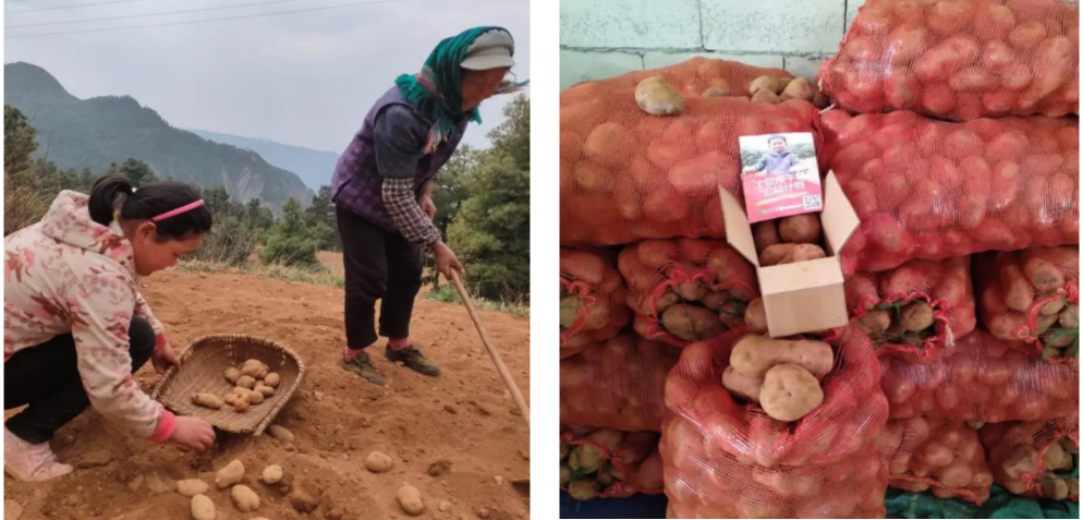 1671087836922543.png 9ad8fedef7082ba8fa0f05883073546.png